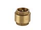 Bri Non Return Valve 50mm Spring Brass 1024-50