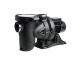 Dab Euroswim 150 Pool Pump 1.5HP