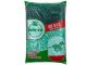 Seed Co SC529 Maize Seed 5kg