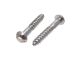 Tassburg Raised Head Self Tappers 6mm x 25 Pack 25