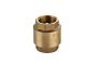 Bri Non Return Valve 20mm Spring Brass 1024-20