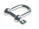 Safe Top D Shackle M8 P1