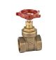 Bri Gate Valve 25mm Brass GV-134-25