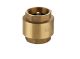 Bri Non Return Valve 25mm Spring Brass 1024-25